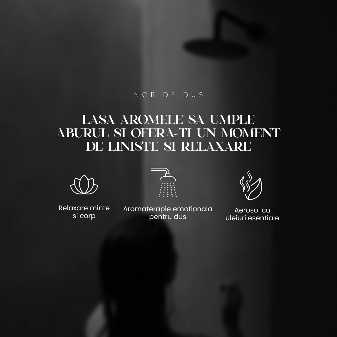 MANIFEST - pentru focus și claritate