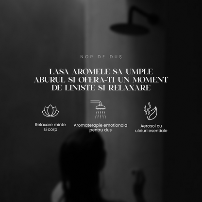 MANIFEST - pentru focus și claritate