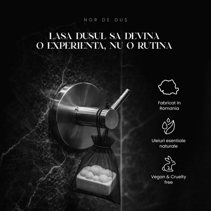 MANIFEST - pentru focus și claritate