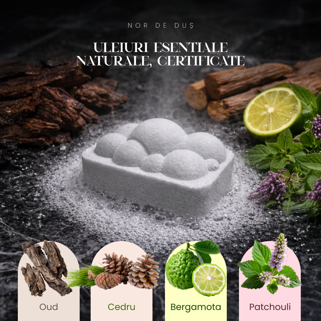 MANIFEST - pentru focus și claritate